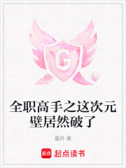 全职高手之这次元壁居然破了在线阅读