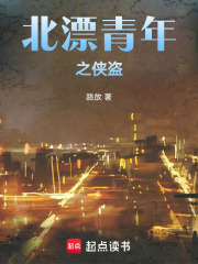 北漂青年之侠盗