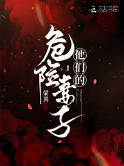 他们的危险妻子在线阅读