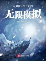 从算命先生开始的无限模拟在线阅读