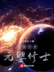 最后的元婴修士