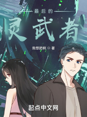 最后的灵武者