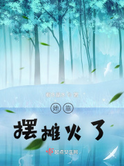 她靠摆摊火了在线阅读