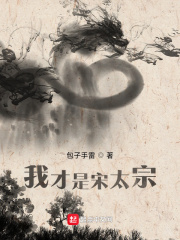 我才是宋太宗在线阅读