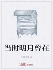 当时明月曾在在线阅读