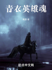 青衣英雄魂在线阅读