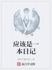 应该是一本日记