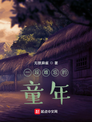 一段难忘的童年在线阅读