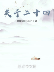 关于二十四在线阅读
