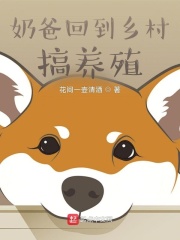 奶爸回到乡村搞养殖在线阅读