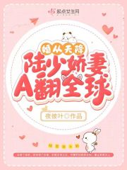 婚从天降，陆少娇妻A翻全球在线阅读