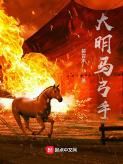 大明马弓手在线阅读