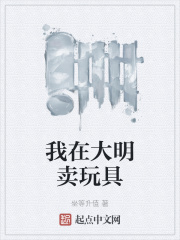 我在大明卖玩具在线阅读