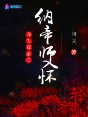 我为反派之纳帝师入怀在线阅读