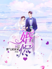 婚烬在线阅读