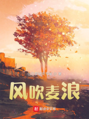 风吹麦浪！！在线阅读
