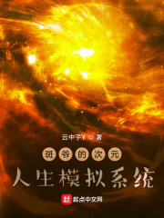 斑爷的次元人生模拟系统在线阅读