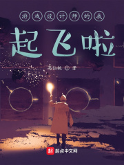 游戏设计师的我起飞啦在线阅读