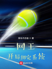 网王：开局绑定领袖系统！在线阅读