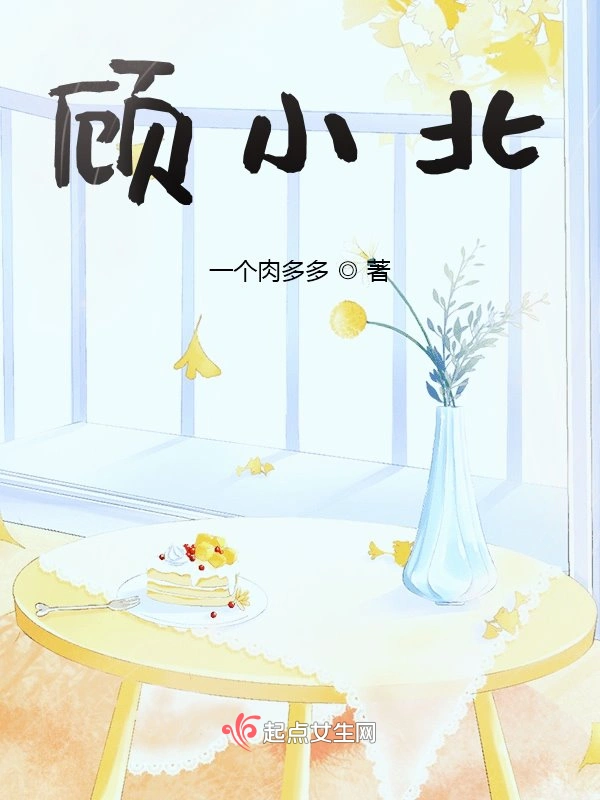 顾小北