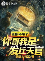 盗墓：不装了，你哥我是发丘天官封面