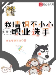 我！青铜不小心打哭了职业选手在线阅读