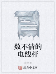 数不清的电线杆