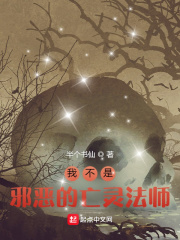 我不是邪恶的亡灵法师在线阅读