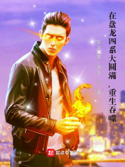 在盘龙四系大圆满，重生吞噬在线阅读
