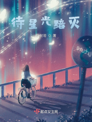 待星光黯灭在线阅读