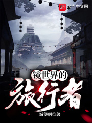 镜世界的旅行者