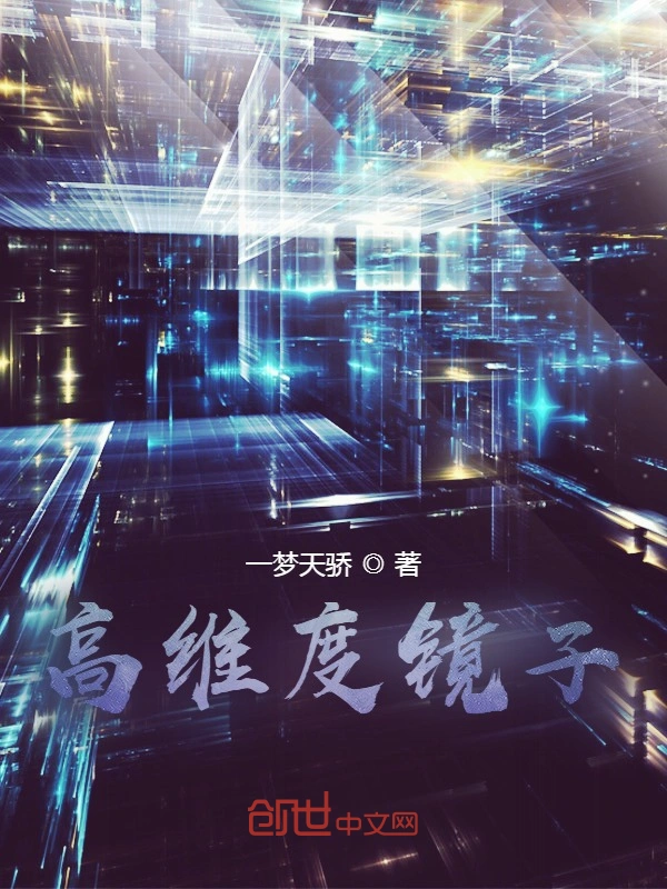 高维度镜子