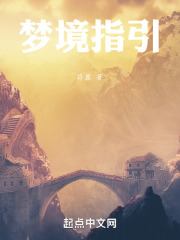 梦境指引在线阅读
