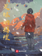 足球的辉煌在线阅读