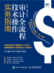 审计全流程技术操作实务指南