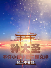 孙大圣，不许小看小圣二郎女神在线阅读
