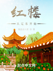 红楼从辽东开始在线阅读