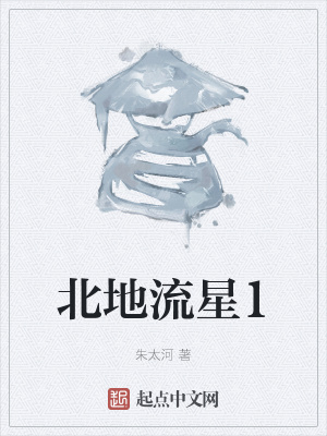 北地流星1在线阅读