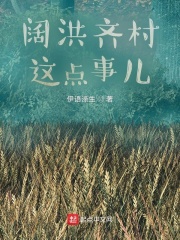 阔洪齐村这点事儿在线阅读