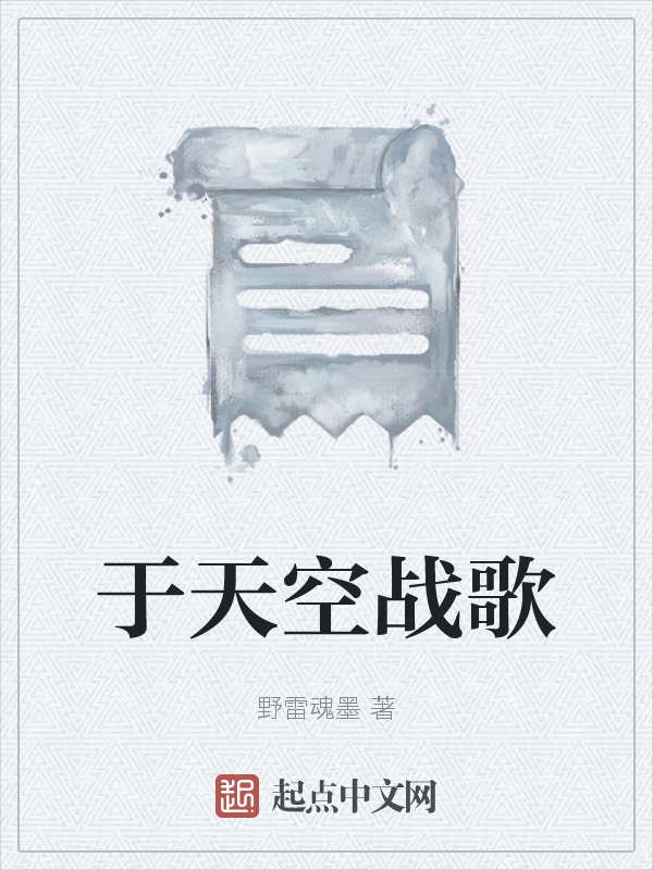 于天空战歌在线阅读