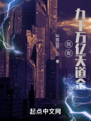我有九千万亿天道金在线阅读