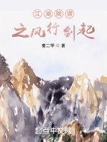 风行剑起封面