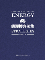 能源博弈论集