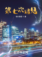 第七次遇见在线阅读