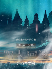 新人上路，阳人回避在线阅读