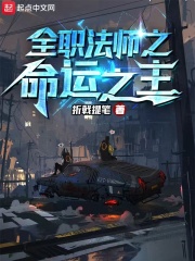 全职法师之命运之主在线阅读