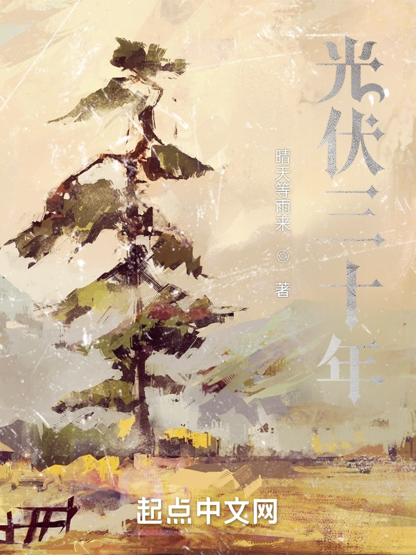 光伏三十年在线阅读