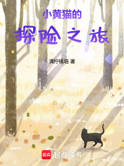 小黄猫的探险之旅在线阅读