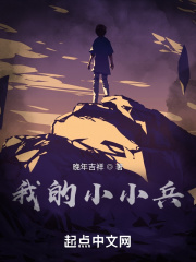 我的小小兵在线阅读