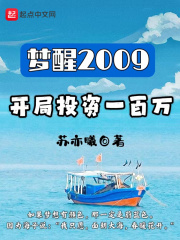 梦醒2009：开局投资一百万在线阅读